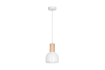 Lampa Wisząca DEX WHITE  1xE27