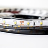Taśma Pro 60 LED 24W 6000K IP65 5m