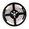 Taśma Pro 60 LED 24W 6000K IP65 5m