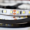 Taśma Pro 120 LED 48W 6000K IP20 5m