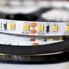 Taśma Pro 120 LED 48W 3000K IP20 5m