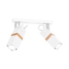 Lampa sufitowa VIDAR WHITE 2xGU10