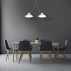 Lampa wisząca GUSTAV WHITE 2xE27