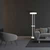 LAMPA STOJĄCA RING 24W LED